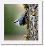 Pahkinanakkeli_2101 * 1612 x 1720 * (2.47MB)