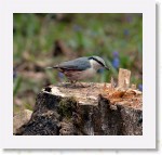 Pahkinanakkeli_2119 * 1380 x 1302 * (1.68MB)