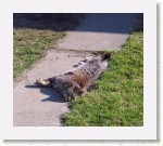 katti2_9250 * 1693 x 1488 * (3.4MB)