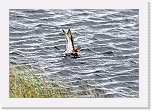 vesipaasky_5793 * 800 x 549 * (384KB)